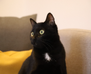 Photo de Bobine