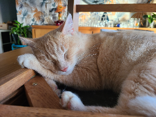Mika