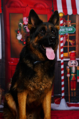 Sam