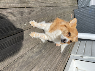 Roucky