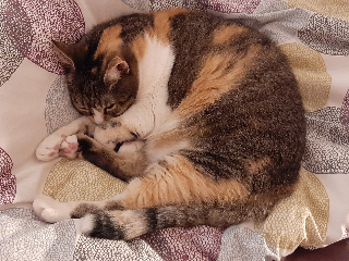 Photo de Douceur