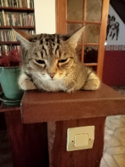 Photo de OLYMPE