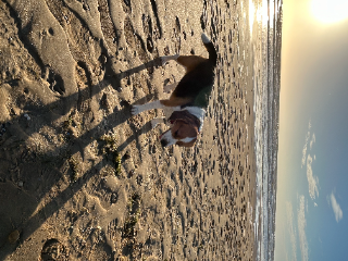 Photo de Roxy