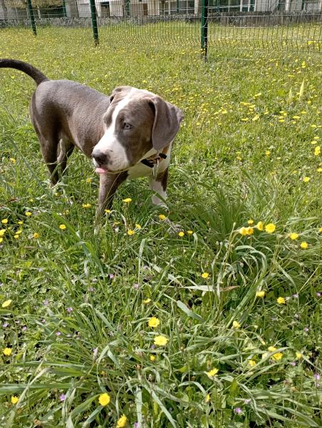 Vybz