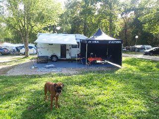 Photo de Samba du manoir au lierre