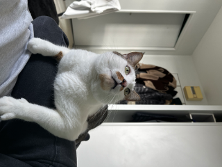 Pablo