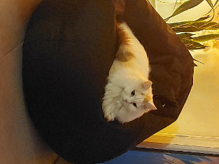 Photo de Yvi appelé doudoune