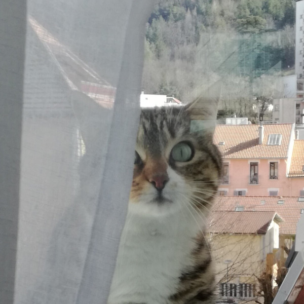 Photo de Andromède