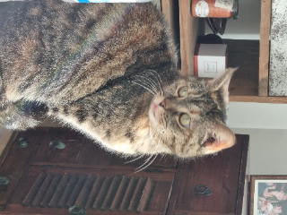 Photo de Mademoiselle