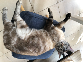 Sala