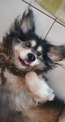 Photo de Louloute Everest