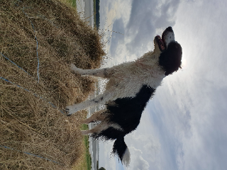 Photo de NOOKIE