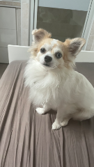 Photo de Bibi