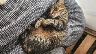 Iki