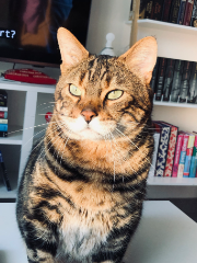 Photo de Pouky
