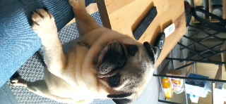 Lilou