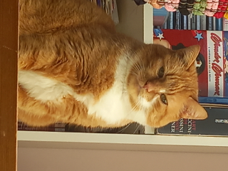 Photo de Caramel