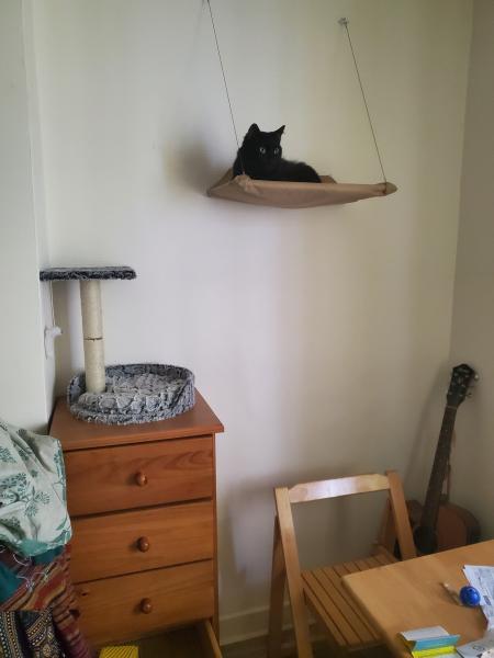 Photo de Ludwig