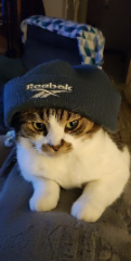 Newka