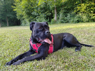 Photo de Osiris