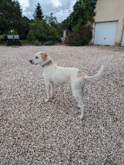 Photo de Maïko