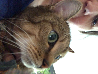 Photo de DOUDOU