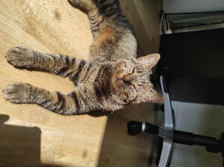 Olympe