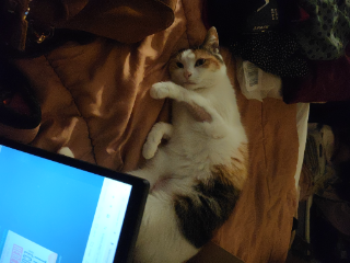 Lucette