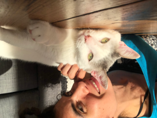 Coco