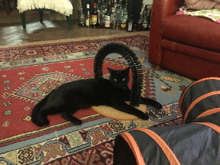 Photo de VADOR