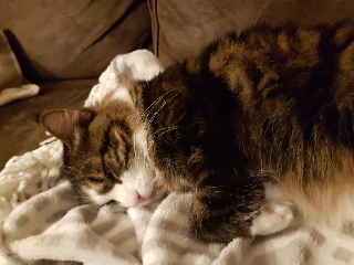 Photo de Zion (zouzou)