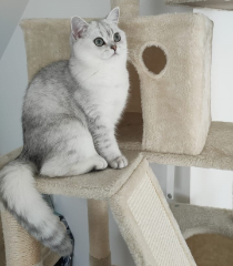 Photo de Umi