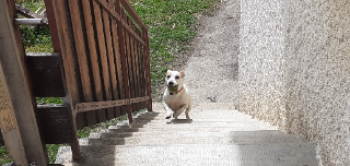 Photo de June