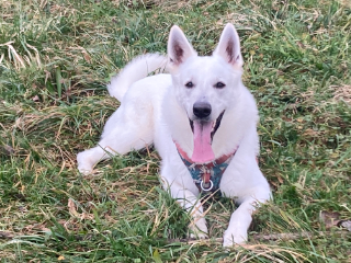 Photo de Saëko du lac de Garm