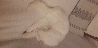 Photo de Léo