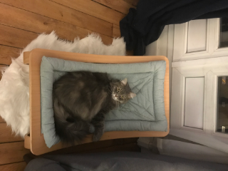 Mélie