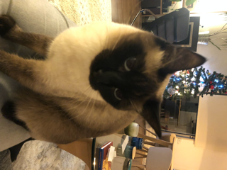 Maïly