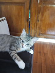 Yuki