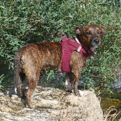 Photo de Maggie 🍼