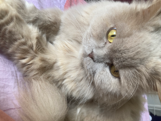 Photo de Océane fleur