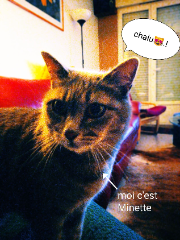 Photo de Minette