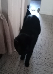 Photo de Léna