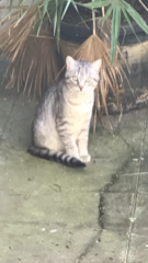 Photo de Vito