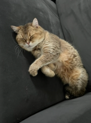 Photo de Mimi