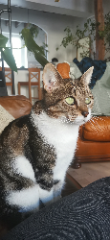Monchat