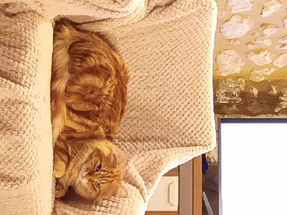 Photo de Jojo, Sacha