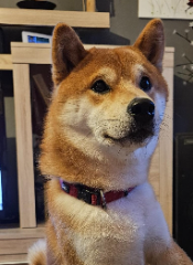 UCKY