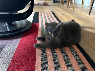 Photo de Miss Moneypenny