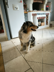 Maïla