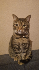 Photo de Zina